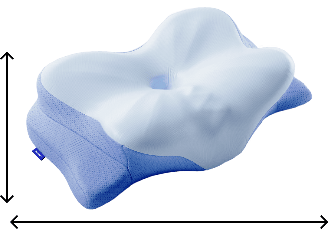 Pillow Standard Size 50x30cm
